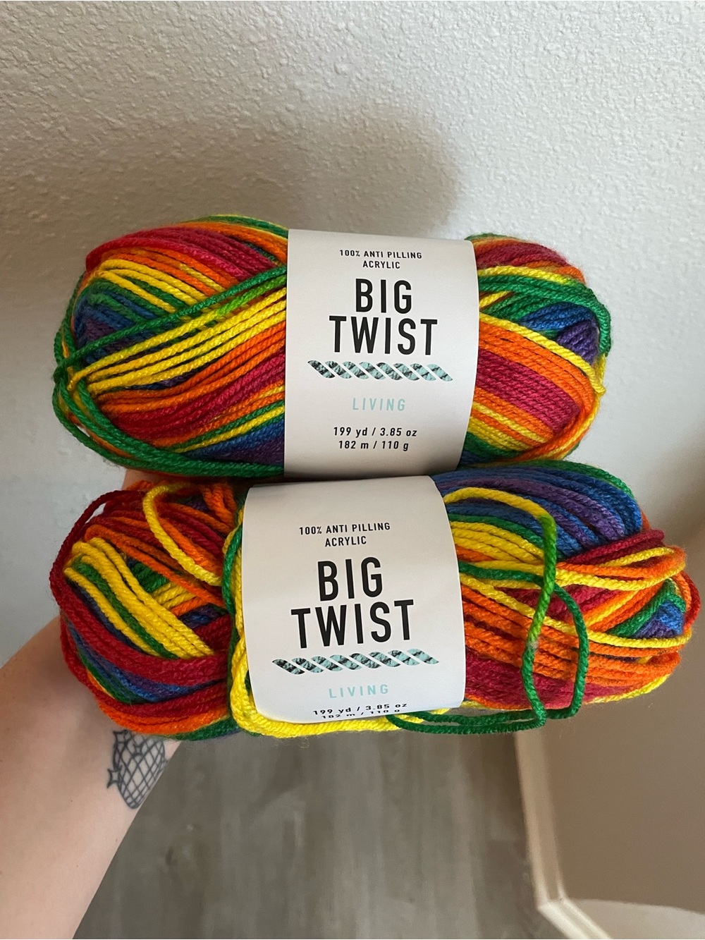 Big Twist Living Acrylic Yarn - Pride collection